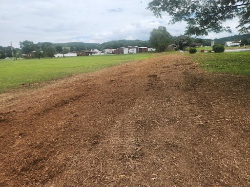 Field edge mulched back to a clean, open strip along the boundary