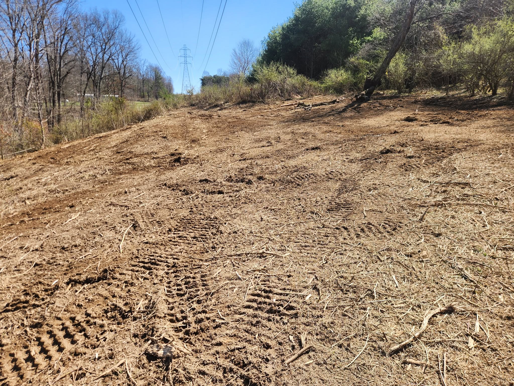 Cleared utility corridor with fresh track marks running uphill